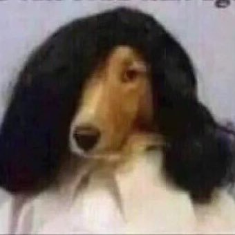 voldemortdash's profile picture. ੴ |