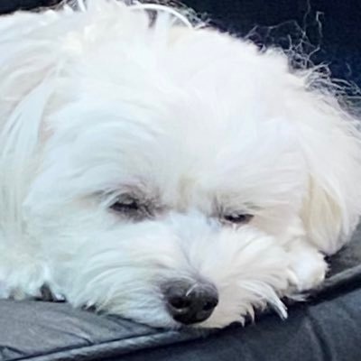 k9Io3agh5CWlyDP's profile picture. 