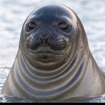 me gusta el agua