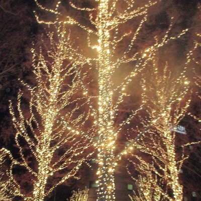 rieumeume's profile picture. 無言フォローすみません(いいね等々も・・・）😖🙏
SNSもまだまだ使いこなせていない初心者です🙇‍♀️失礼がありましたらすみません
KP時代は別垢でみる専でした
2023～応援の為こちらでお世話になっています。
フォローさせて頂いている方々、推しは同じです💙宜しくお願い致します。
2022年1月～ kp→Ni