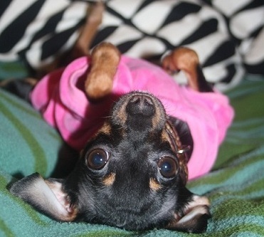 YAlifanova's profile picture. 