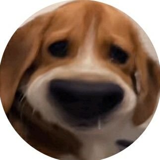 mejorllora's profile picture. 𝑼𝒔𝒖𝒂𝒓𝒊𝒐 𝒏𝒐 𝒅𝒊𝒔𝒑𝒐𝒏𝒊𝒃𝒍𝒆 🍂