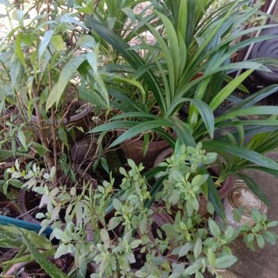 QhbKFTroCrpi7YP's profile picture. งานช่าง