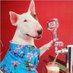 Spuds_Mackenzie (@rainbow_crypto) Twitter profile photo