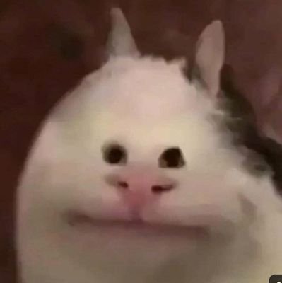 CXdbEyzjIeiXpen's profile picture. .