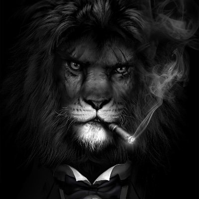 MasonSp898's profile picture. Captain Thoughtful