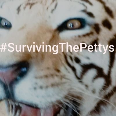 Stand up for victims
#SurvivingThePettys