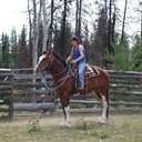 Tracy Noble - @TracyNoble1 - Twitter