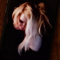 WASP SUMMER (aka bogan) (@waspsummer) 's Twitter Profile