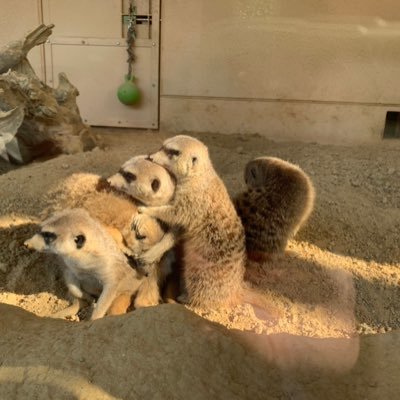 budobanzai's profile picture. アラフォーママです。子ども２人います。 愚痴垢。口悪いです。主に #モラ夫 について。結婚相手間違えた…けど子ども達は本当にかわいいです。