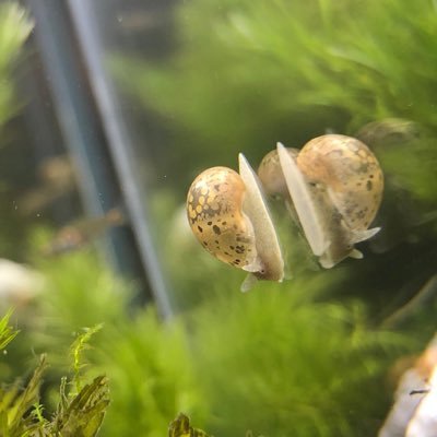 viviancclccl's profile picture. I love Hong Kong 🇭🇰 Fight for Freedom, Stand with Hong Kong!!!! #手足互科 #手足科勞