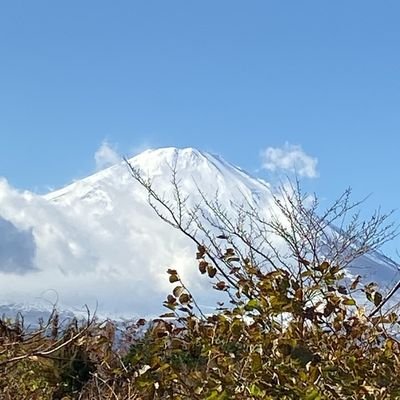 土屋太鳳さんが好きな老婆です。
「果てぬムラ」に住んでいます。
土屋太鳳さんと共演された方、
関わった方ももれなく好きになる傾向があります。