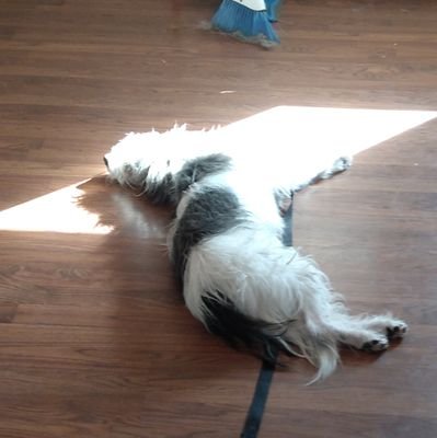 Unicorn50346375's profile picture. 