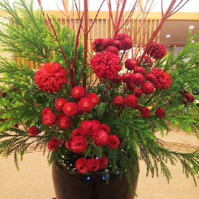 niwa_10ri's profile picture. フォロバします！
子育て中。新米お母さん、公園デビューをした息子のお世話に日々奮闘中！！ダイソン扇風機のリモコンがお気に入りの模様。
おんぶして寝かしつけした時の、幸せそうな寝顔を鏡越しに見るのが最近の楽しみ🍀