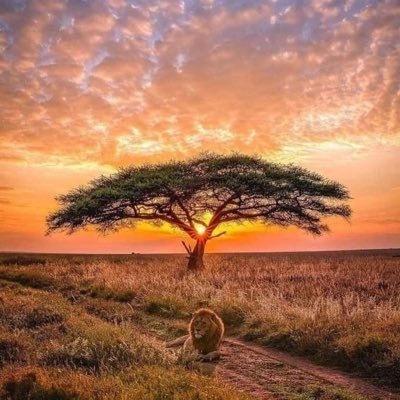 MattFaro_21's profile picture. Kiné-Ostéo