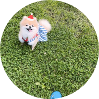 슬기(@apicnicday) 's Twitter Profile Photo