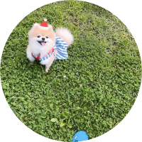 μ¬κΈ° (@apicnicday) 's Twitter Profile Photo μ¬κΈ° (@apicnicday) 's Twitter Profile Photo