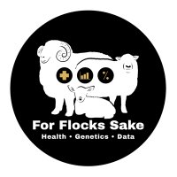For Flocks sake (@4flockssake) 's Twitter Profile Photo For Flocks sake (@4flockssake) 's Twitter Profile Photo
