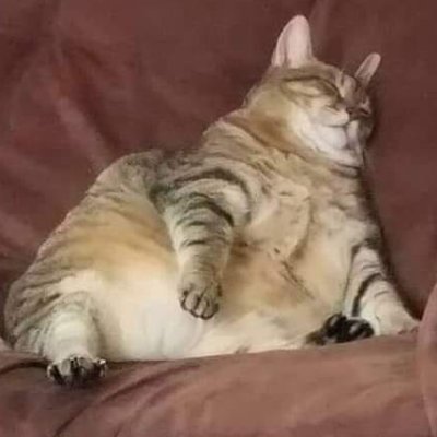 Karazanic1's profile picture. Animator | 3D Artist | Professional Degenerate