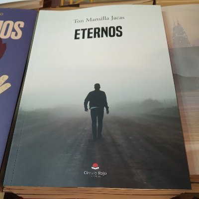 ¿Imaginas cómo sería enamorarte en un país donde el amor puede llegar a ser delito?
Disponible en librerías: Cómplices (Bcn), Antinous (Bcn), Berkana (Madrid)