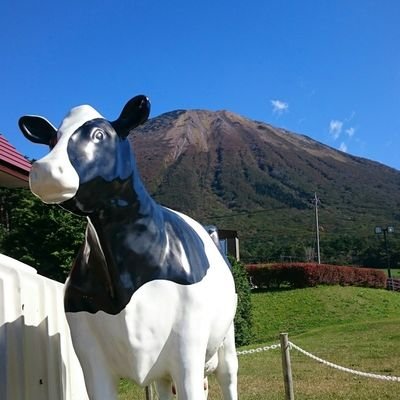 eriii_tk00's profile picture. 元JW2世。ふたりの息子たち(9歳&6歳)の子育て中の30代です。リアルではなかなか話せないことを呟くアカウントです。