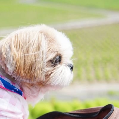 たま～に、気ままにつぶやきます🎵