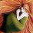 TaaRudaa's profile image