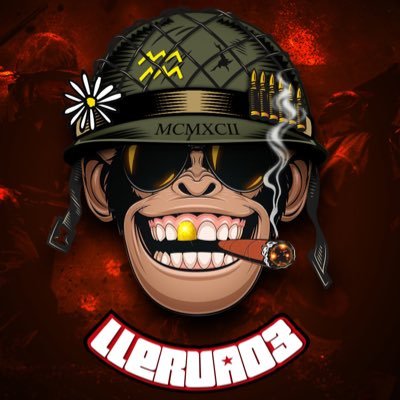 Llerva03's profile picture. Jugador de Competitivo de Battlefield 🔰Lider del clan Black Roses (BR*)