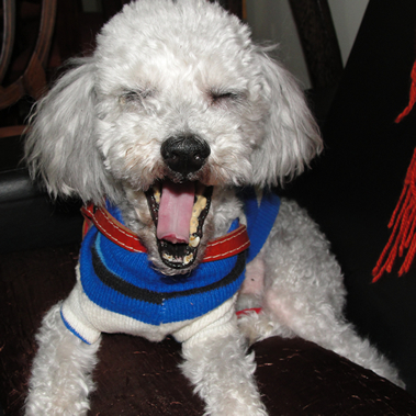 maribergo's profile picture. Vamos dominar o mundo?