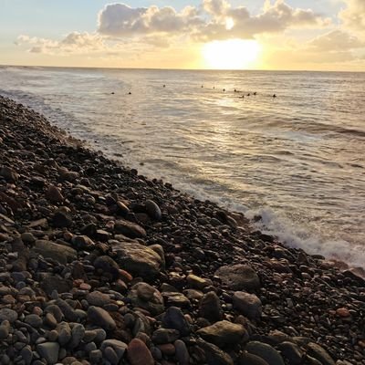 Leo41419326's profile picture. 