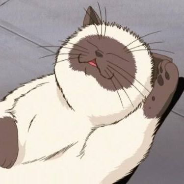 🐱✨ 🎾さんのプロフィール画像