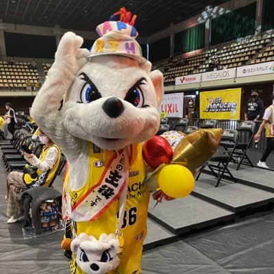 Bリーグ🏀サンロッカーズ渋谷と宇都宮BREXを応援📣会場での観戦は主に青学（アクセス最高！飽きない試合展開💦）#36サンディー🐻‍❄️💛が可愛すぎてたまらない。基本ぼっち観戦なので絡んでくれたら嬉しいです。フォローはご自由に👍