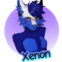 Xenon_Wolf_Gaming(@XenonWolfGamin1) 's Twitter Profile Photo
