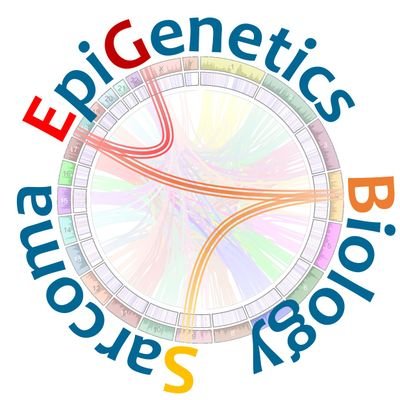 Our group investigates poorly characterized #sarcomas at the #pathology #genetic #epigenetic levels with a focus on #chromatin remodelling alterations