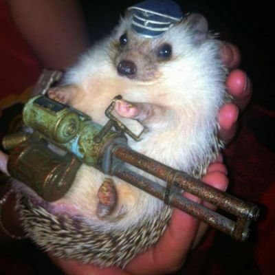 KarlHeinrichMa3's profile picture. 我蜘蛛切呢? | 芝麻五谷全豆沙