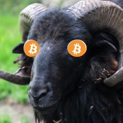 Horny Crypto on Twitter: "Hope you're right but how many ...