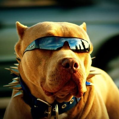M_1_0_2_5_'s profile picture. 23
