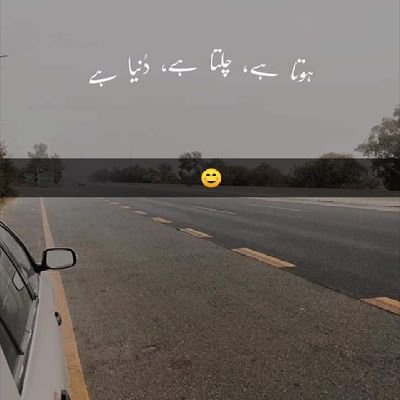 calmeakeel's profile picture. 