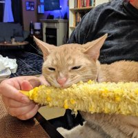 Aiken (@aikenssbm) 's Twitter Profile Photo Aiken (@aikenssbm) 's Twitter Profile Photo