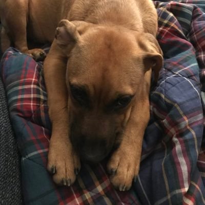 smiler_control's profile picture. 🎸 🌵 🐠 🎹 💀 ⚡️🐢🌹