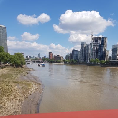 NunquamD's profile picture. Fleshy