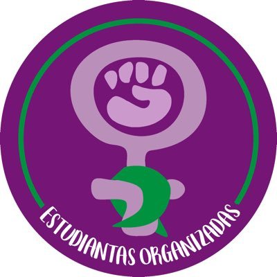 Somos Estudiantas de la Educación Pública de Chacabuco ✊💜💚