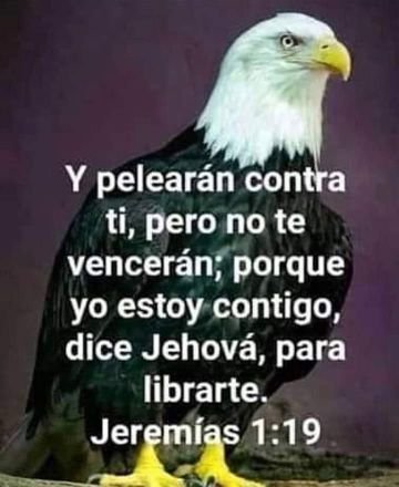 Alejand39849938's profile picture. AMAR A DIOS POR JESÚS Y SU ESPÍRITU SANTO PORQUE ÉL ME AMO PRIMERO Y REFLEJARLO POR AMOR Y SÓLO AMOR