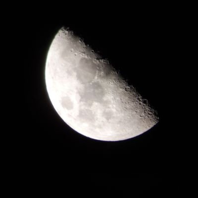 christmastrex's profile picture. 🍻