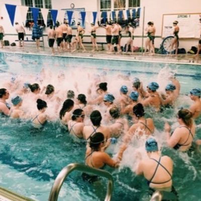 tritonswimanddive