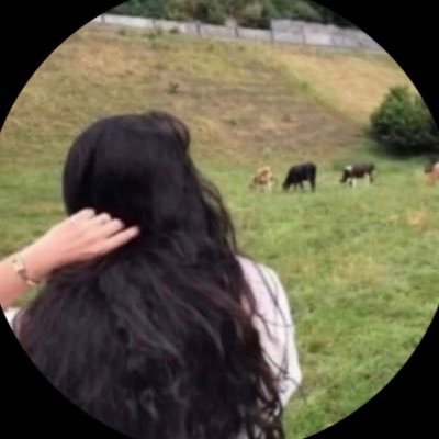 3lltc's profile picture. 