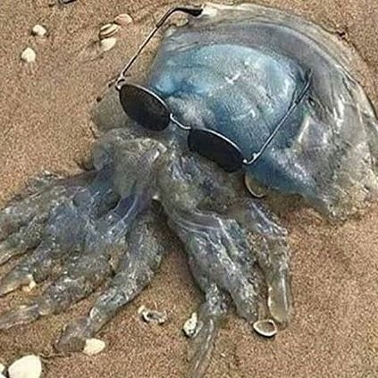 WenchH99's profile picture. 