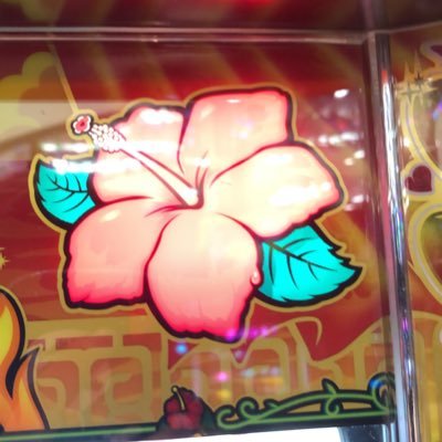 www_kiseru's profile picture. 