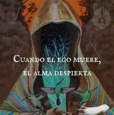 AnaFigu36871512's profile picture. Seguidora fiel de AMLO