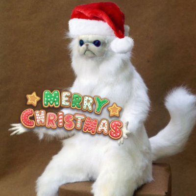 havenzcsgo's profile picture. i buy & sell cs go skins hmu 

https://t.co/2zfXH0jKpy